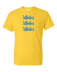 Three Lions on a shirt